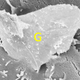 Illustration for article titled Graphene ‘miracle material’ could be toxic to humans